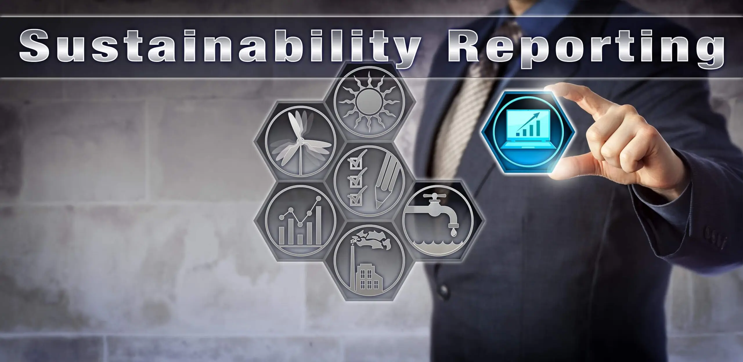Sustainability reports that use the UN SDG framework