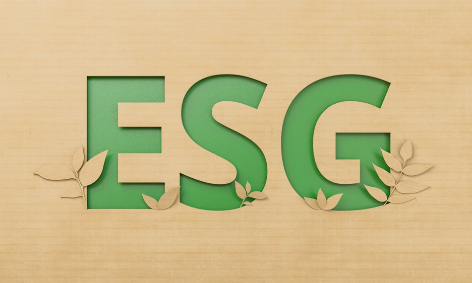ESG practices you can't miss in 2023