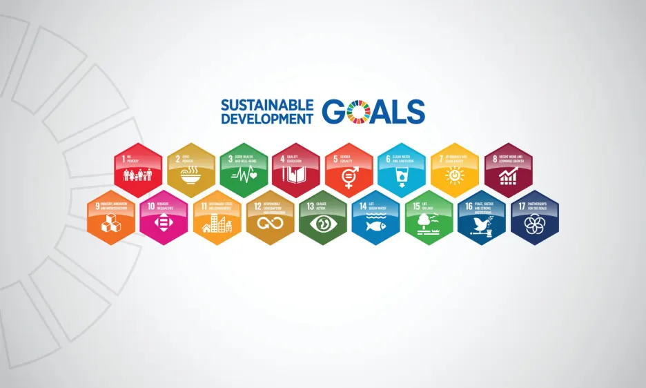 UN SDGs and their Impact on Corporate Reporting | Blog | Report Yak