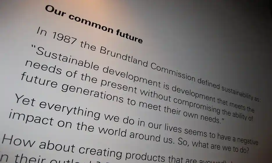 Embracing a Sustainable Future: Unearthing the Brundtland Report's Secrets | Blog | Report Yak