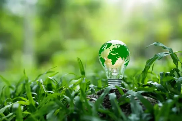 Sustainability Reporting Evolution | Report Yak Blog