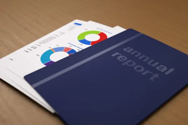 Annual Report Explained | Report Yak Blog