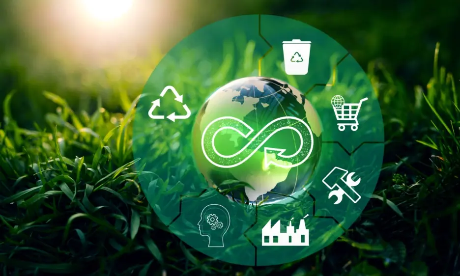 Circular Economy | Report Yak Blog