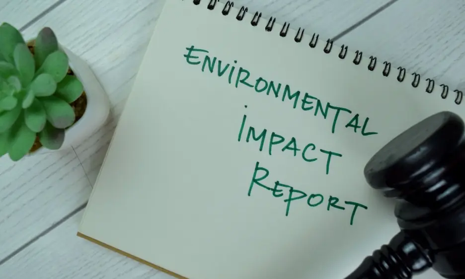 Environmental Impact Assessment Report | Report Yak Blog