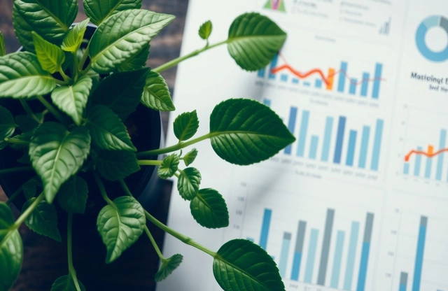 Engaging stories using clear visuals and sustainability data | Report Yak Blog