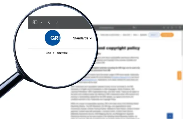 GRI Sustainability Taxonomy Explanation | Report Yak Blog