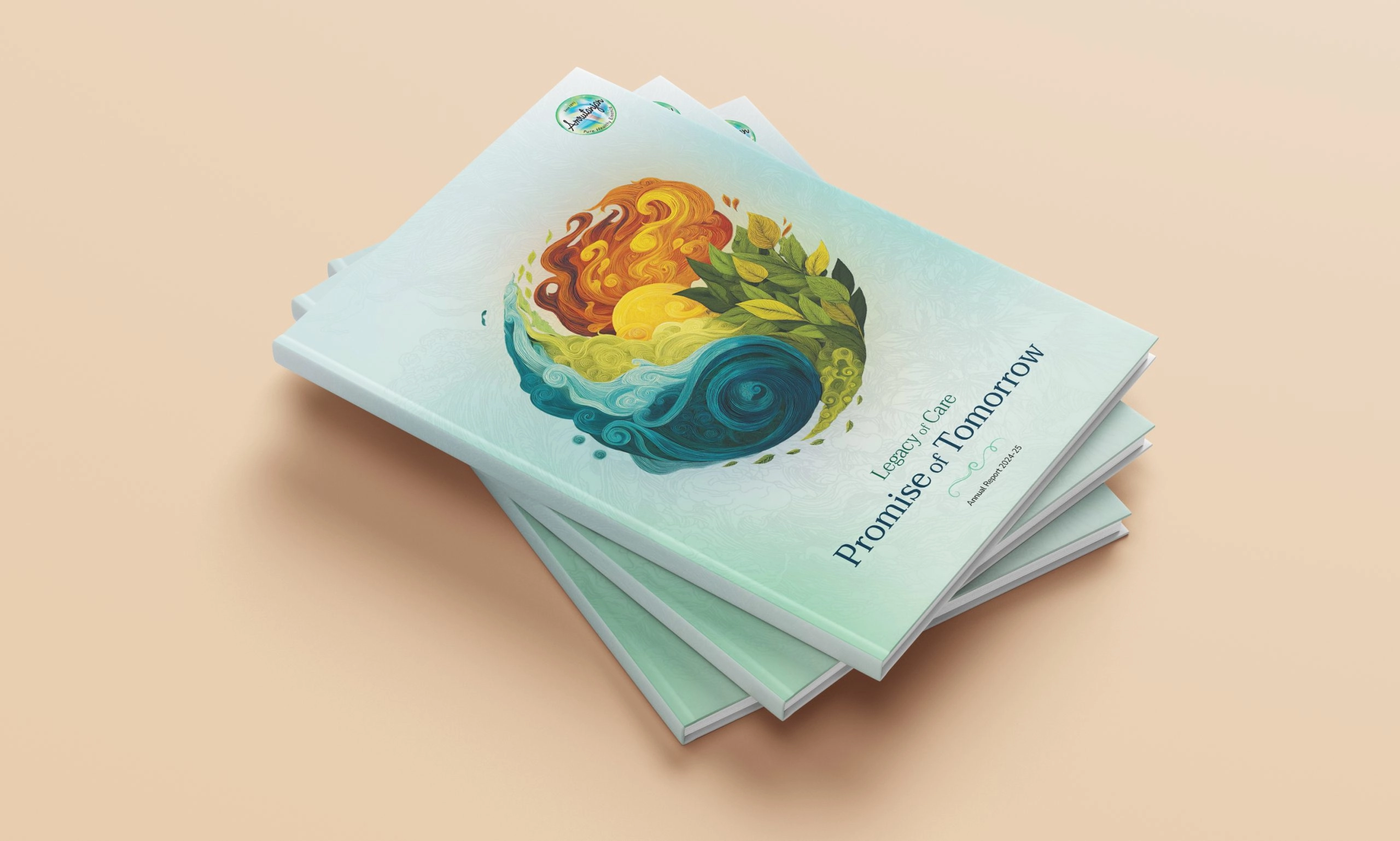 Amrutanjan — Annual report 2024–25
